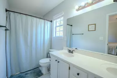 217 Willow Forks Road, Lexington, SC 29073 - Photo 13