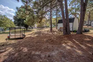 217 Willow Forks Rd, Lexington, SC 29073 - Photo 23