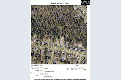 217 Willow Forks Road, Lexington, SC 29073 - Photo 25