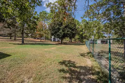 217 Willow Forks Road, Lexington, SC 29073 - Photo 19