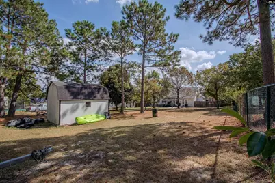 217 Willow Forks Road, Lexington, SC 29073 - Photo 21