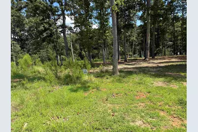 Lot 34 Shoreview Drive #34, Prosperity, SC 29127 - Photo 3