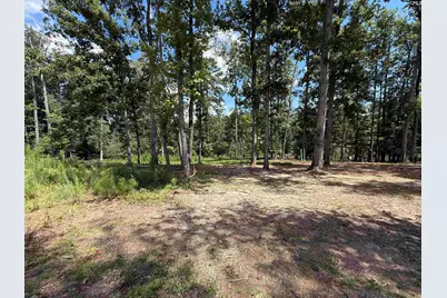 Lot 34 Shoreview Drive #34, Prosperity, SC 29127 - Photo 5