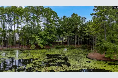 349 Gracemount Lane, Columbia, SC 29229 - Photo 43