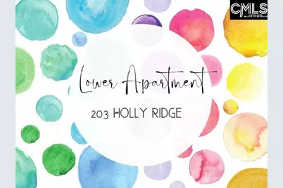 203 Holly Ridge Lane, West Columbia, SC 29169 - Photo 77