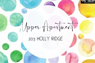 203 Holly Ridge Ln, West Columbia, SC 29169 - Photo 83