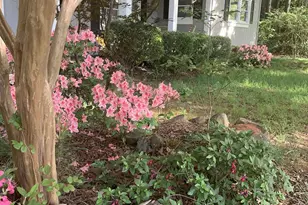 538 Crofton Rd, Blackstock, SC 29014 - Photo 95