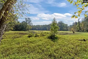 573 Canasta Dr, Gilbert, SC 29054 - Photo 29