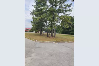 000 Frink Street, Cayce, SC 29033 - Photo 1