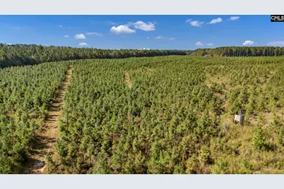 187 Peach Tree Street, Ward, SC 29166 - Photo 99