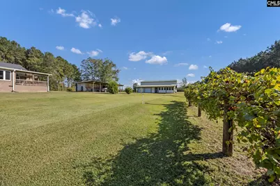 187 Peach Tree Street, Ward, SC 29166 - Photo 71