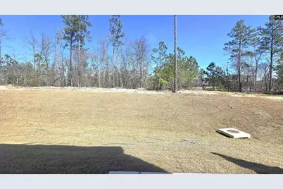 273 Sunny Hill Drive, Blythewood, SC 29016 - Photo 9