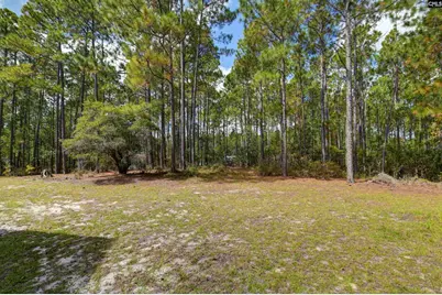 257 Rim Rock Road, Gilbert, SC 29054 - Photo 43