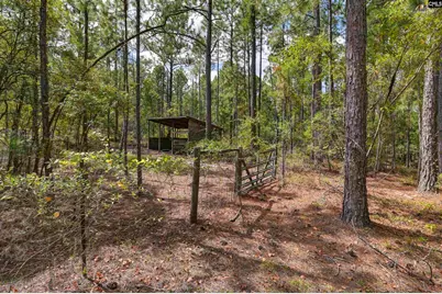 257 Rim Rock Road, Gilbert, SC 29054 - Photo 39