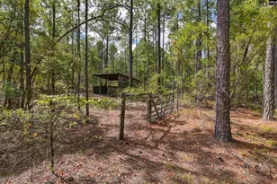 257 Rimrock Rd, Gilbert, SC 29054 - Photo 39