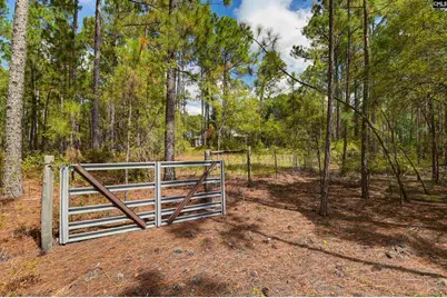 257 Rim Rock Road, Gilbert, SC 29054 - Photo 35