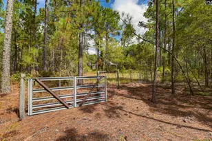 257 Rimrock Rd, Gilbert, SC 29054 - Photo 35