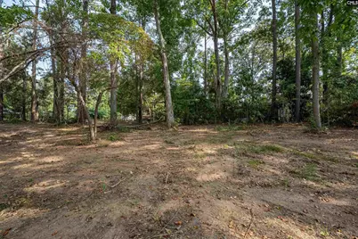 1172 Tailers Trail, Leesville, SC 29070 - Photo 3