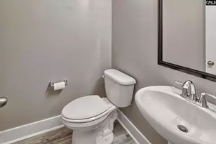 424 Lombard Wy, Chapin, SC 29036 - Photo 33