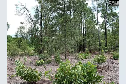 691 Bettis Academy Road, Graniteville, SC 29829 - Photo 3