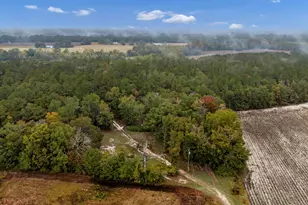 152 Frisco Ln, Neeses, SC 29107 - Photo 51