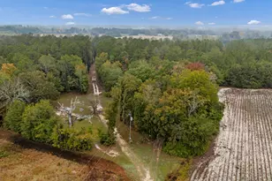 152 Frisco Ln, Neeses, SC 29107 - Photo 49