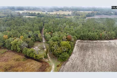 152 Frisco Lane, Neeses, SC 29107 - Photo 57