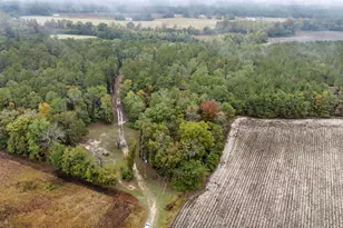 152 Frisco Ln, Neeses, SC 29107 - Photo 57