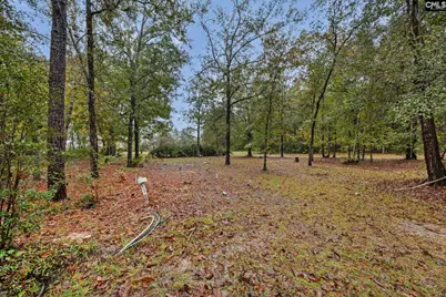 152 Frisco Lane, Neeses, SC 29107 - Photo 41