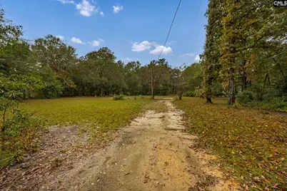 152 Frisco Lane, Neeses, SC 29107 - Photo 45
