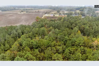 152 Frisco Lane, Neeses, SC 29107 - Photo 55