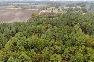 152 Frisco Ln, Neeses, SC 29107 - Photo 55