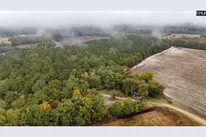 152 Frisco Lane, Neeses, SC 29107 - Photo 53