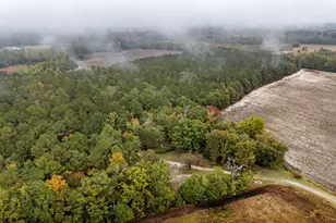 152 Frisco Ln, Neeses, SC 29107 - Photo 53