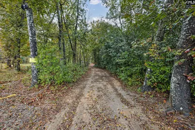 152 Frisco Lane, Neeses, SC 29107 - Photo 47