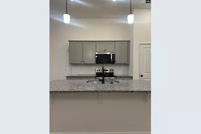 338 Ryegrass Way, Columbia, SC 29212 - Photo 11