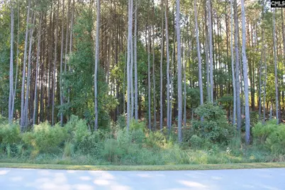 Clouds Creek Circle #94, Leesville, SC 29070 - Photo 5