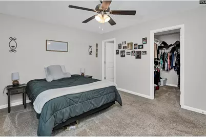 297 Wahoo Circle, Irmo, SC 29063 - Photo 9