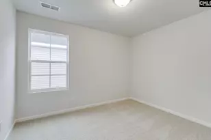 665 Clementine Run, Gilbert, SC 29054 - Photo 19