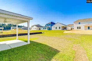 665 Clementine Run, Gilbert, SC 29054 - Photo 33