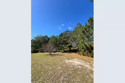 120 Wolf Run Court, Lexington, SC 29073 - Photo 17