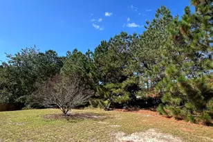 120 Wolf Run Ct, Lexington, SC 29073 - Photo 17