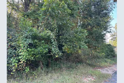 000 Quattlebaum Avenue, Ridge Spring, SC 29129 - Photo 7