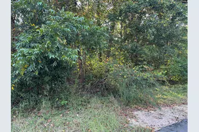 000 Quattlebaum Avenue, Ridge Spring, SC 29129 - Photo 3