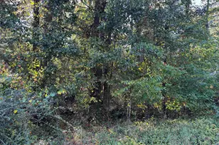 000 Quattlebaum Ave, Ridge Spring, SC 29129 - Photo 1