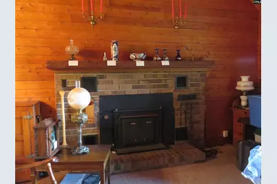 228 Shady Springs Road, Prosperity, SC 29127 - Photo 9