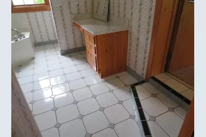 228 Shady Springs Road, Prosperity, SC 29127 - Photo 15