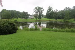 228 Shady Springs Rd, Prosperity, SC 29127 - Photo 3