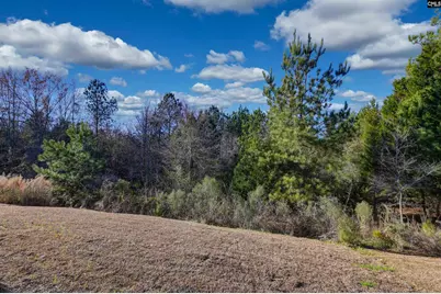 275 Boseman Road, Irmo, SC 29063 - Photo 35