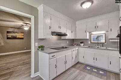 329 Quail Hills Drive, Hopkins, SC 29061 - Photo 13